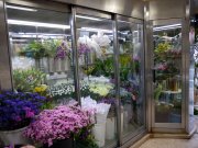 「花のチギラ」　（群馬県沼田市）の花屋店舗写真2